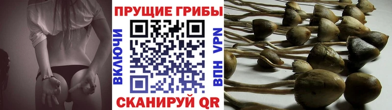 KRAKEN сайт  Надым  Галлюциногенные грибы Psilocybe  наркошоп 