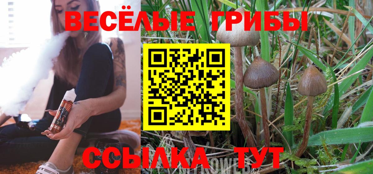 Надым  Галлюциногенные грибы Psilocybe  купить   Псилоцибиновые грибы мухоморы  Вход с VPN 