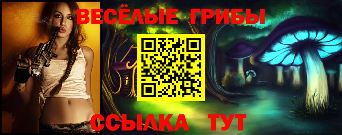 Галлюциногенные грибы Cubensis Надым